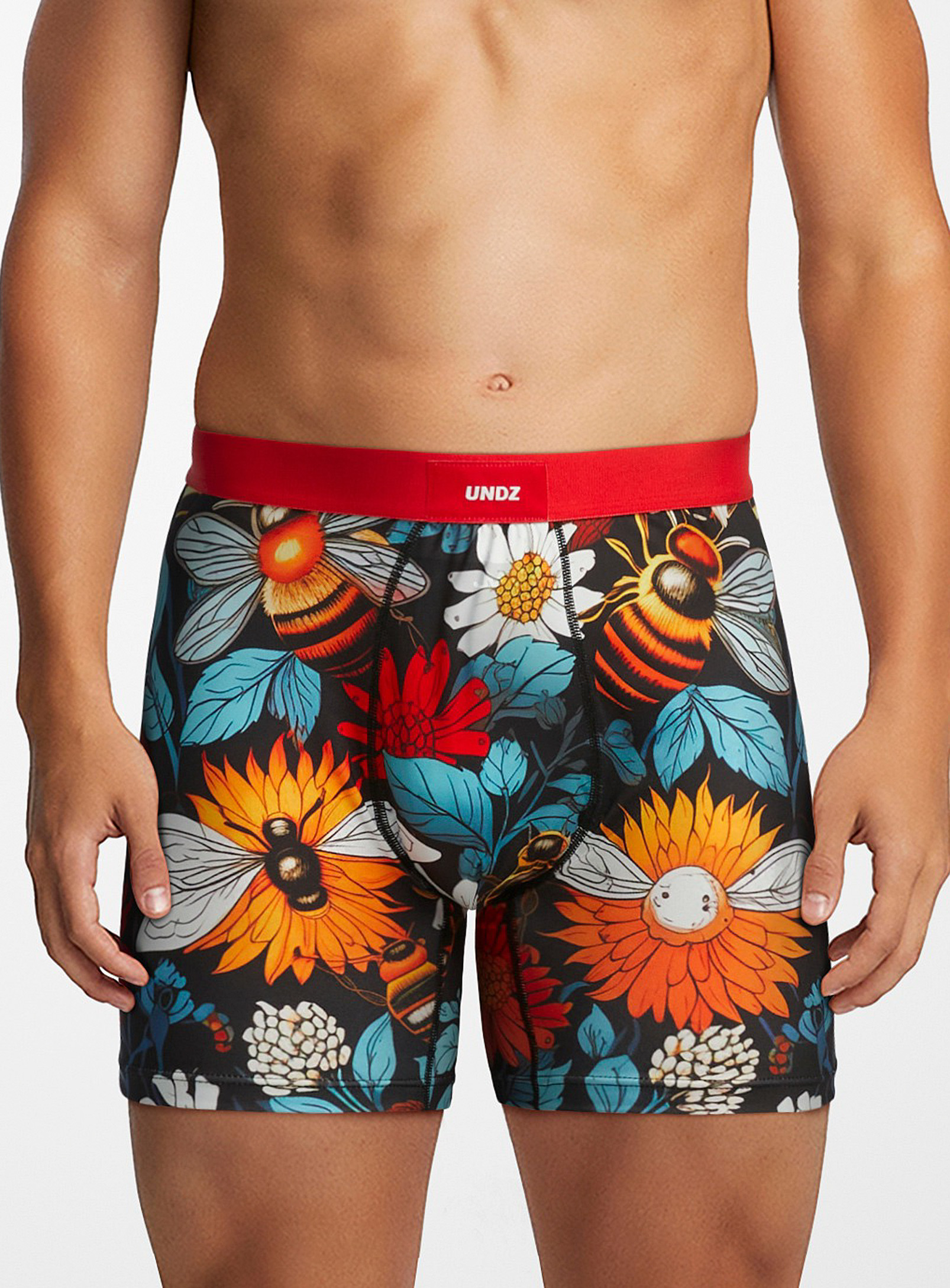 Undz Flower And Bee Boxer Brief In Patterned Black