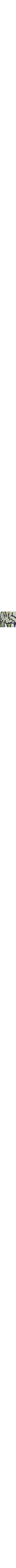 Vert à motifs