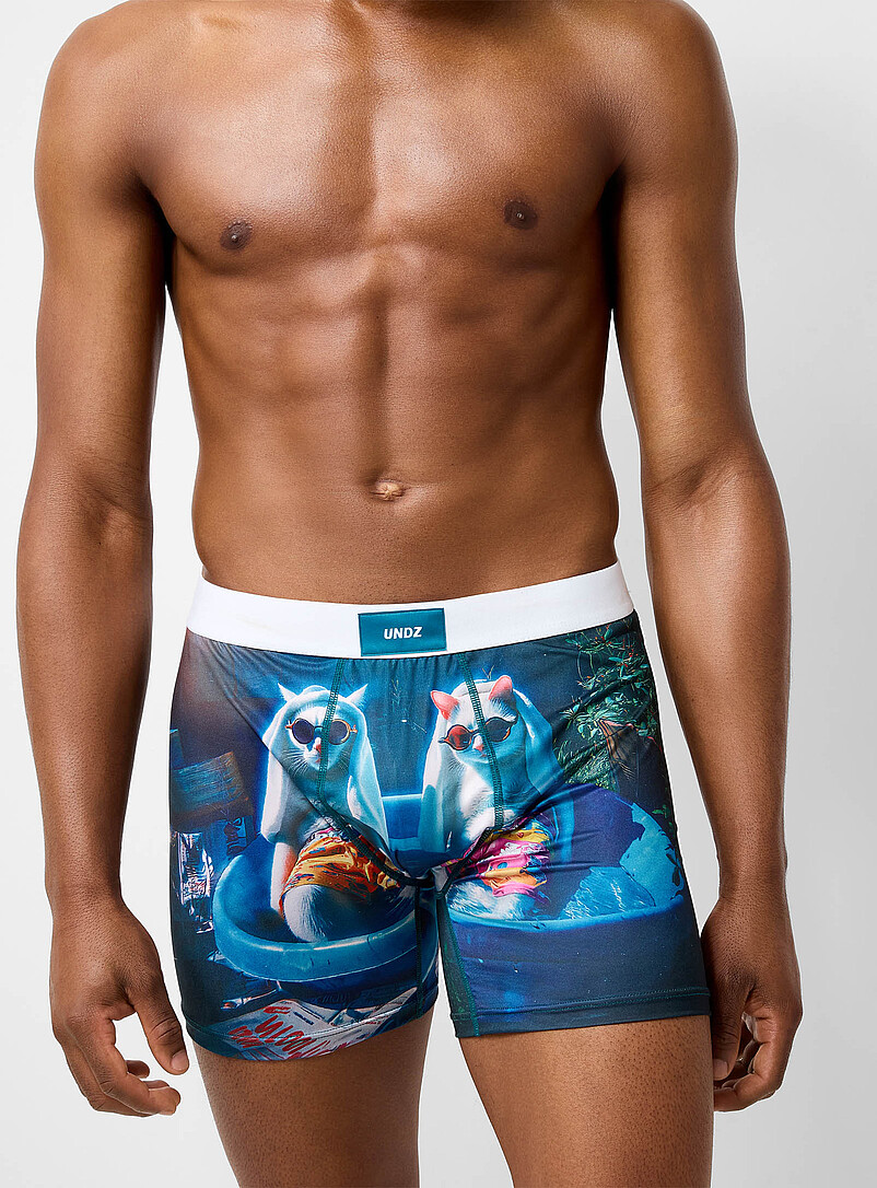 5" relaxing cat boxer brief Polyester product image (primary)