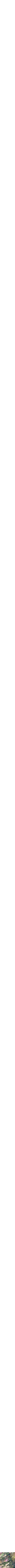 Assorti