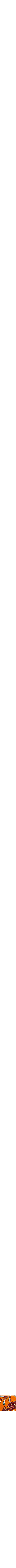 Orange à motifs