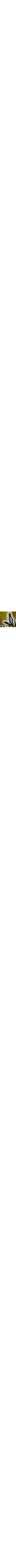Vert à motifs