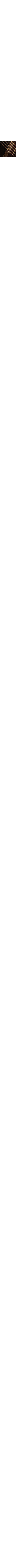 Noir à motifs