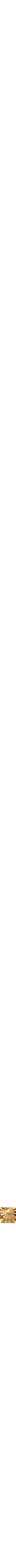 Assorti