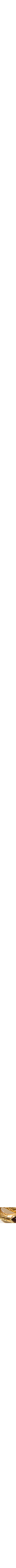 Assorti