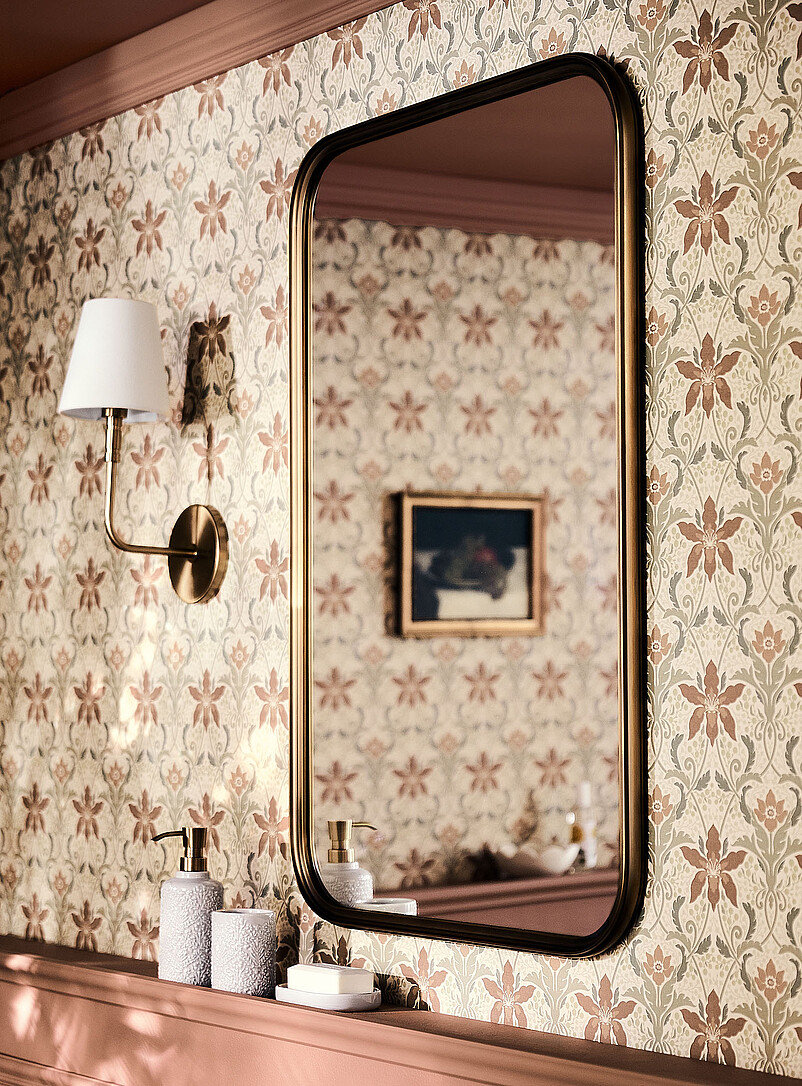 Brushed brass frame mirror product image (primary)