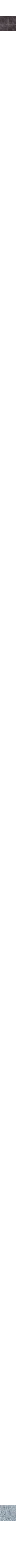 Assorti