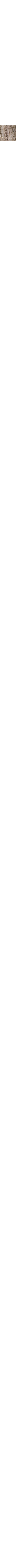 Gris à motifs
