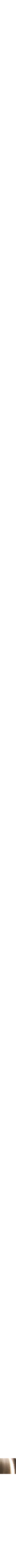 Assorti