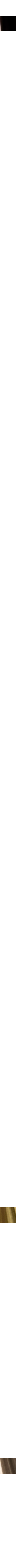 Assorti