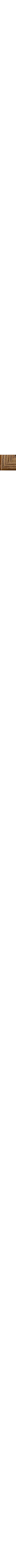 Brun à motifs