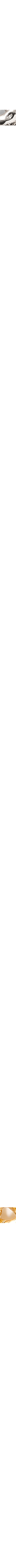 Assorti