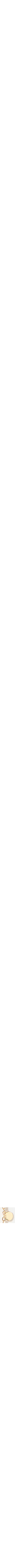 Assorti