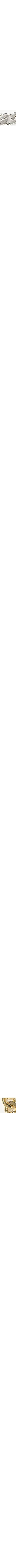 Jaune doré