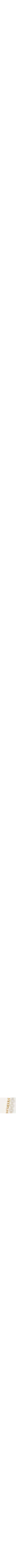 Jaune doré