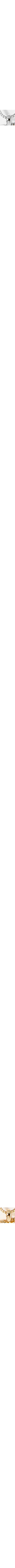 Assorti