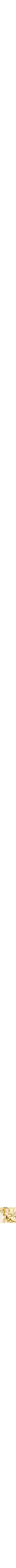 Assorti