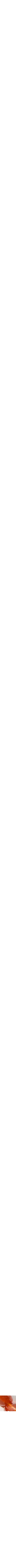 Orange à motifs