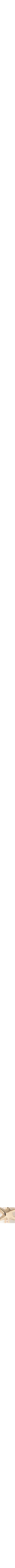 Assorti