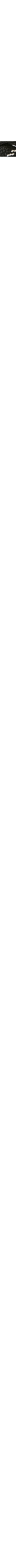 Noir à motifs