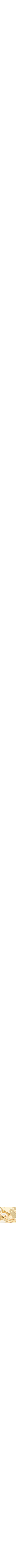 Assorti