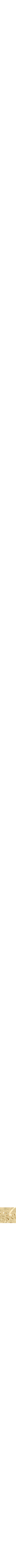 Assorti