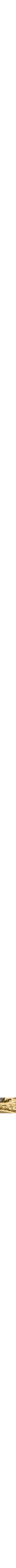 Jaune doré