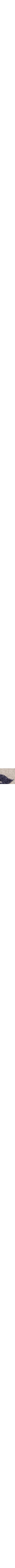 Bleu à motifs