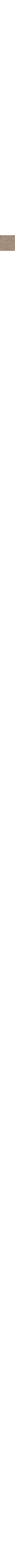 Patterned Ecru
