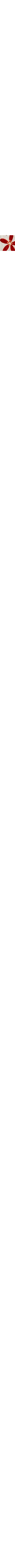 Patterned Ecru