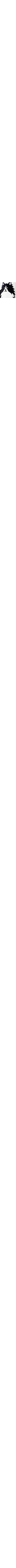 Blanc et noir