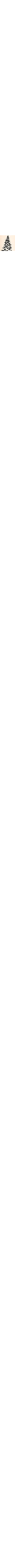 Écru à motifs