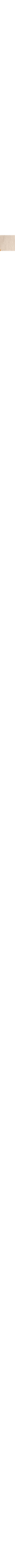Patterned Ecru