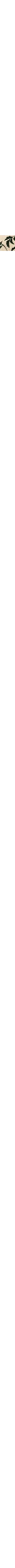 Patterned Ecru