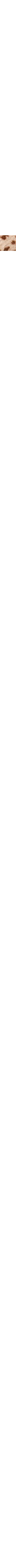 Patterned Ecru