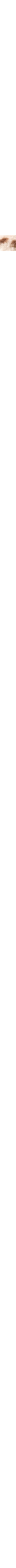 Patterned Ecru