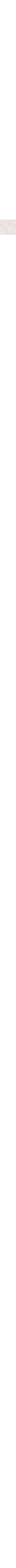 Écru - Lin