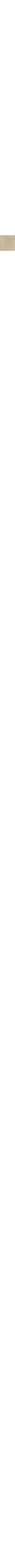 Patterned Ecru