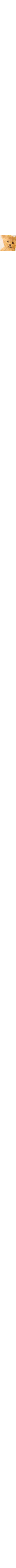 Écru à motifs