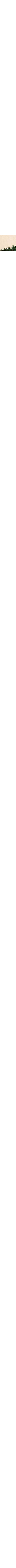 Écru à motifs