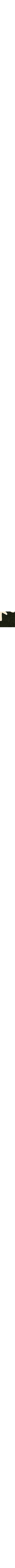 Vert à motifs