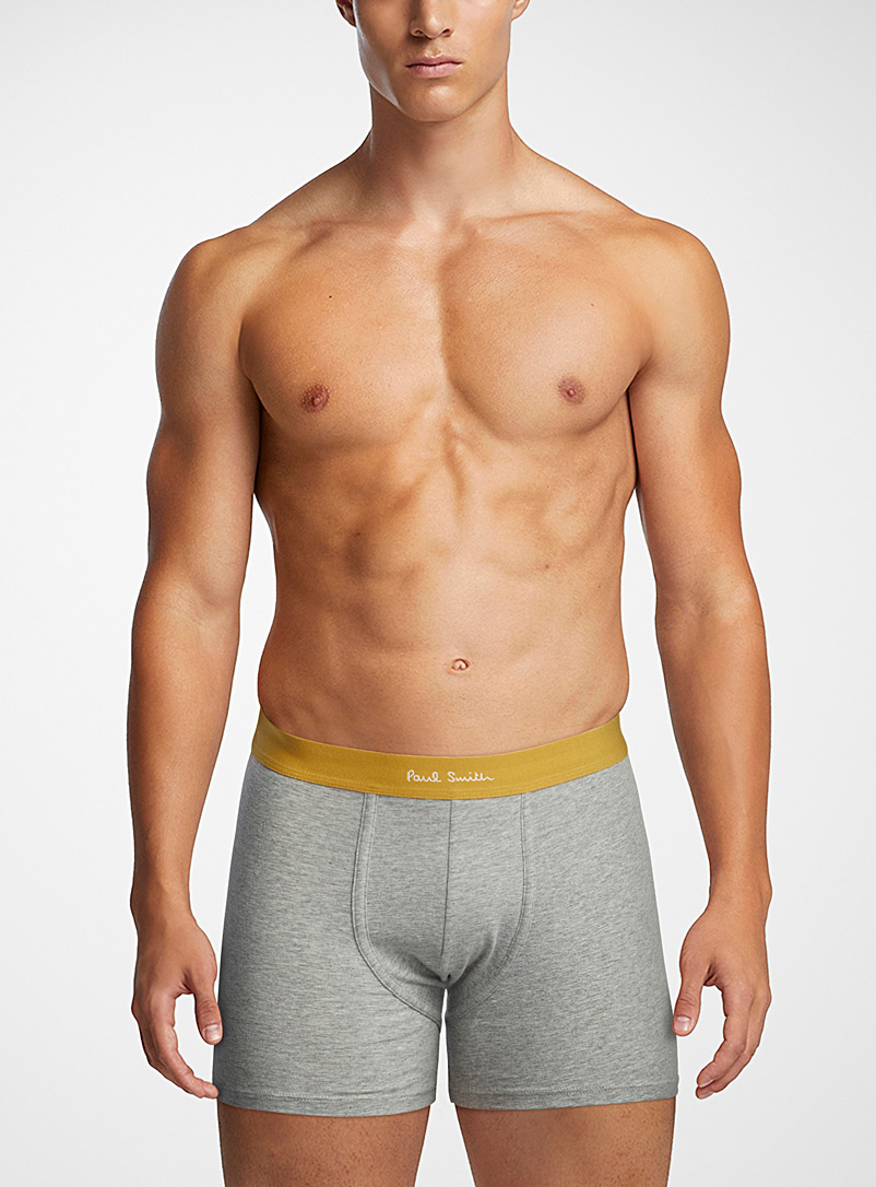 Paul Smith Grey Colourful waist solid boxer brief for men