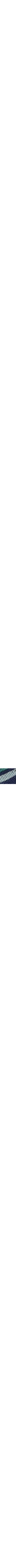 Patterned Blue