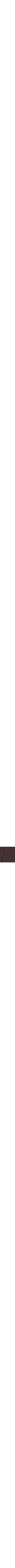 Pourpre 