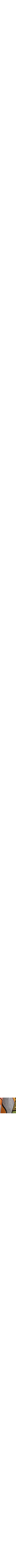 Jaune doré