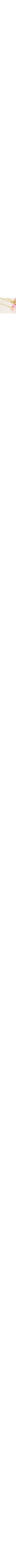 Blanc à motifs