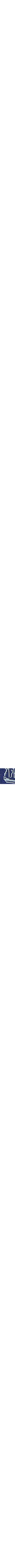 Bleu à motifs
