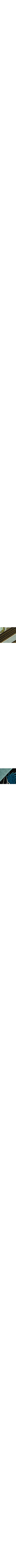 Bleu à motifs