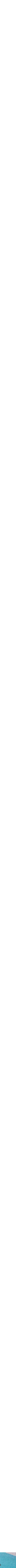 Assorti