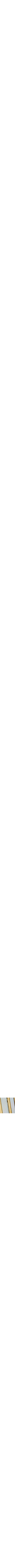 Jaune doré